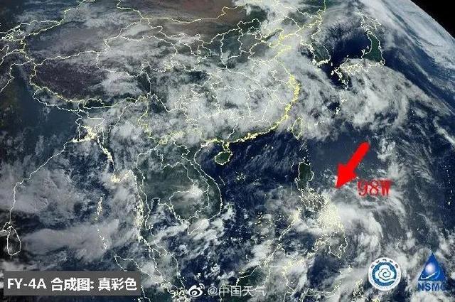 臺風鸚鵡的最新動態(tài)，逆風翱翔的力量與學習魅力