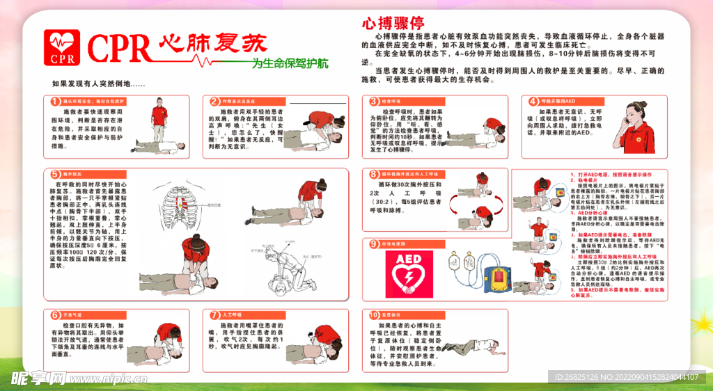 心肺最新進展及關(guān)注要點概述
