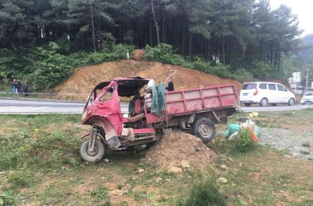 平山事故背后的溫馨故事，友情、愛與陪伴的奇遇