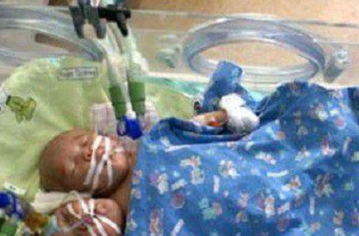 雙頭姐妹，時(shí)代背景下的傳奇故事最新進(jìn)展