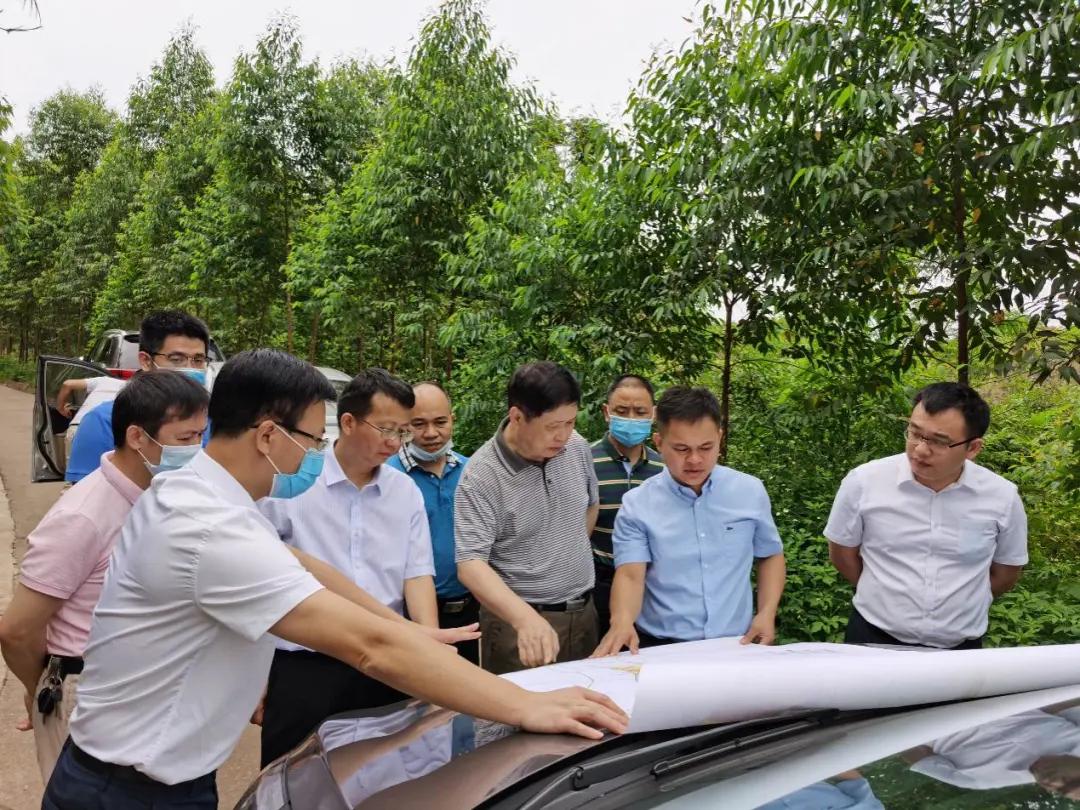 南寧龍象谷最新資訊，游玩指南與技能學(xué)習(xí)步驟全解析