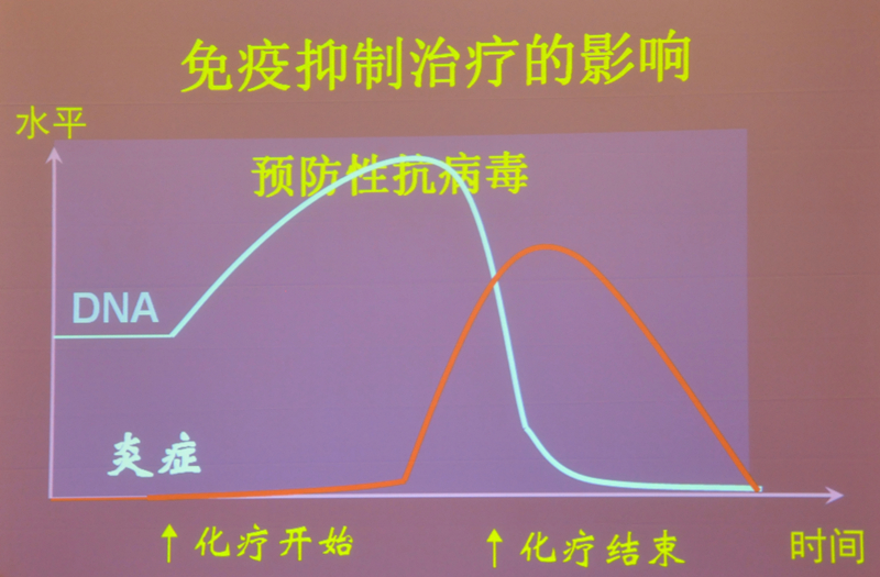 肝炎新進展揭秘，小巷深處的秘密小店探索