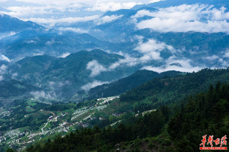 雪峰山資訊，一段溫馨有趣的探索之旅
