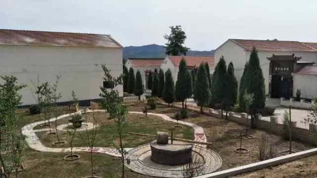 上莊最新動態(tài)，綠意盎然的新居生活????