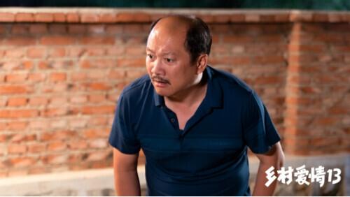 當代鄉(xiāng)土風情歡樂呈現(xiàn)，最新鄉(xiāng)村喜劇劇集