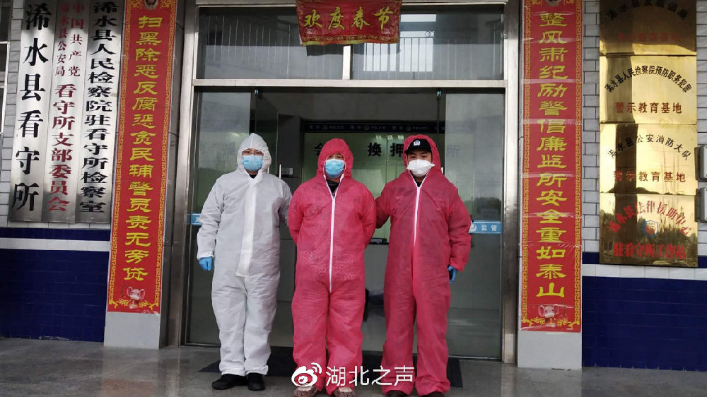 浠水最新疫情,浠水最新疫情下的自然探索之旅，尋找內(nèi)心的寧靜與平和