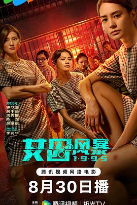 淘君爹最新影片，小巷深處的電影寶藏探索