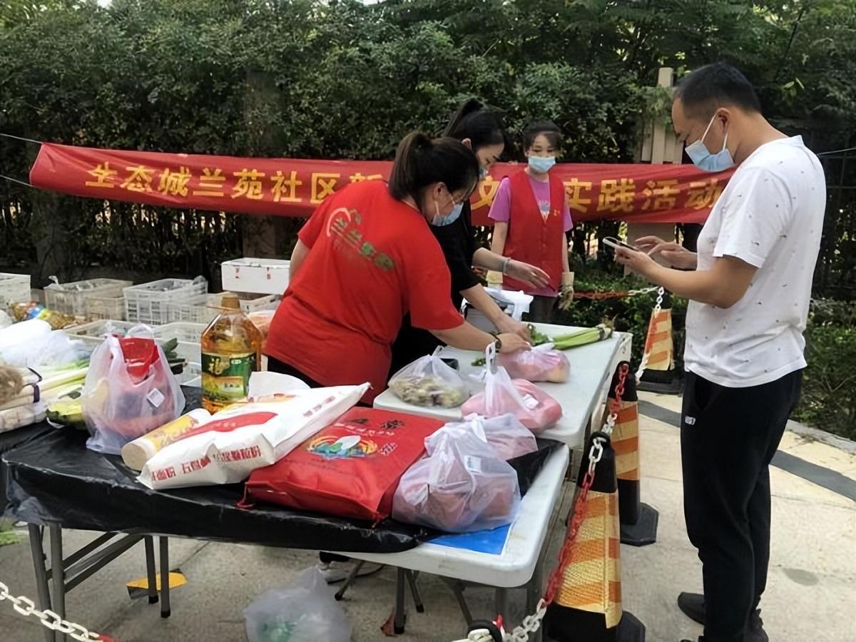 保利華潤紫云價格深度解析，探尋背后的故事與地位影響