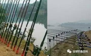 海竿釣魚比賽，技巧、魅力與激情的海洋探秘之旅