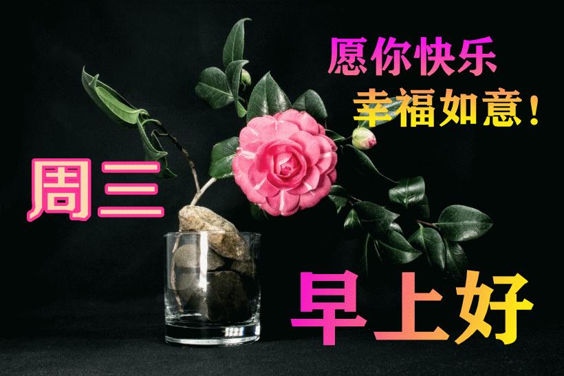 最新早晨問(wèn)候動(dòng)態(tài)表情包，溫馨問(wèn)候，從表情開(kāi)始！