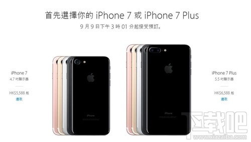 香港蘋果最新價(jià)格揭秘，小巷深處的驚喜發(fā)現(xiàn)