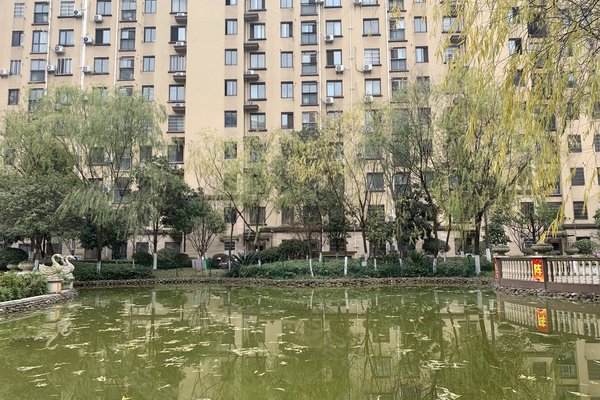 中豪明珠城最新價(jià)格，時(shí)代印記與城市的脈動(dòng)