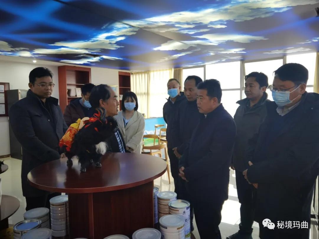 高原之寶上市，學(xué)習(xí)、蛻變與自信的輝煌之旅