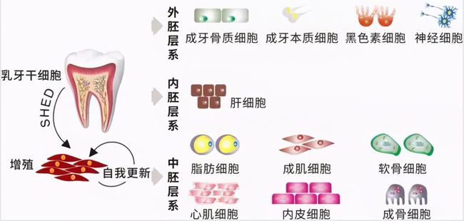 廣場(chǎng)燈具 第183頁(yè)