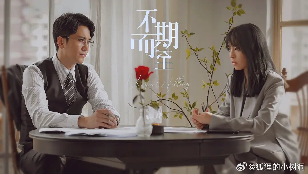 不期而至電視劇，從入門到進(jìn)階的觀看指南