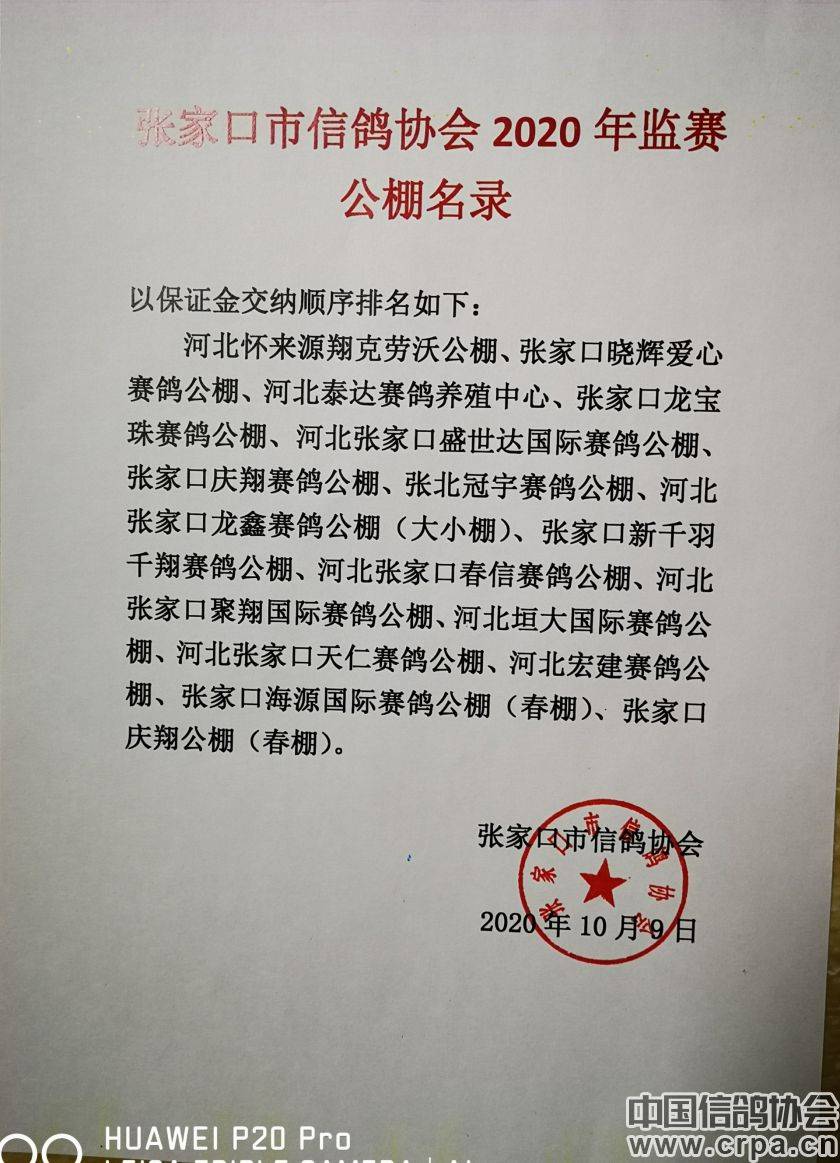 東光信鴿協(xié)會最新通告，小巷深處的獨特風(fēng)味揭秘與信鴿活動更新通知