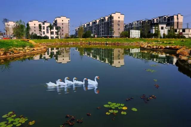 萍鄉(xiāng)安源湖，最新動態(tài)揭示湖畔變革與自我超越之旅