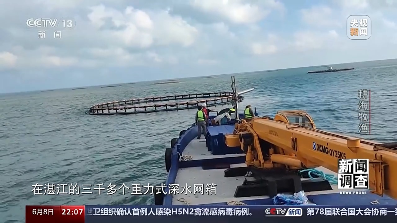 最新海水養(yǎng)殖,最新海水養(yǎng)殖，一種前沿農(nóng)業(yè)技術(shù)的觀點(diǎn)分析