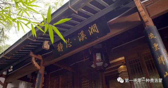 高密西湖茶樓最新資訊，一壺茶，品味溫情時光