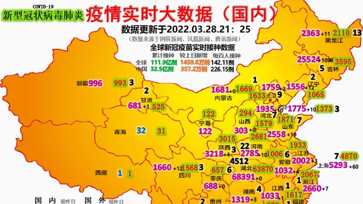 最新疫情動(dòng)態(tài)詳解，初學(xué)者與進(jìn)階用戶的步驟指南