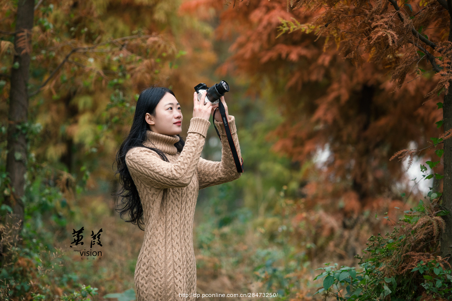 伊人在線電影，探索現(xiàn)代網(wǎng)絡(luò)影視的新境界