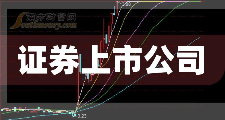 科技巨頭引領(lǐng)下的全新視界，股票上市公司概覽