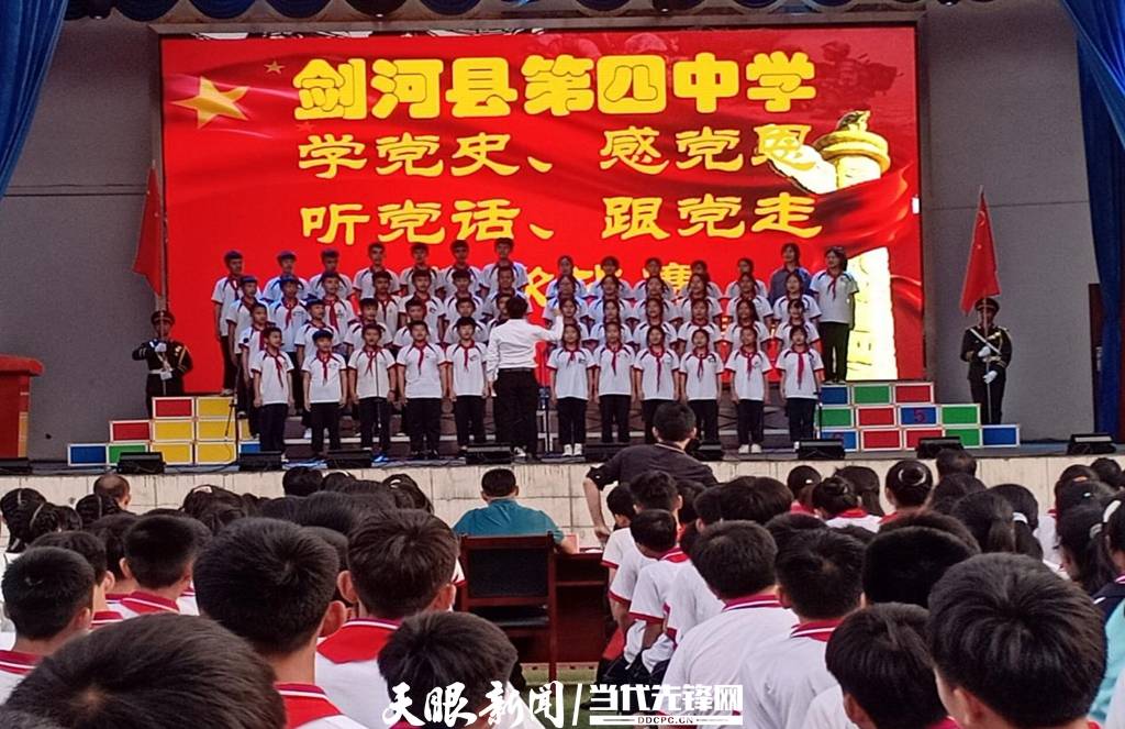 青蛙與狗的泳池挑戰(zhàn)，揭秘游泳比賽背后的故事，青蛙夢工廠的秘密探索