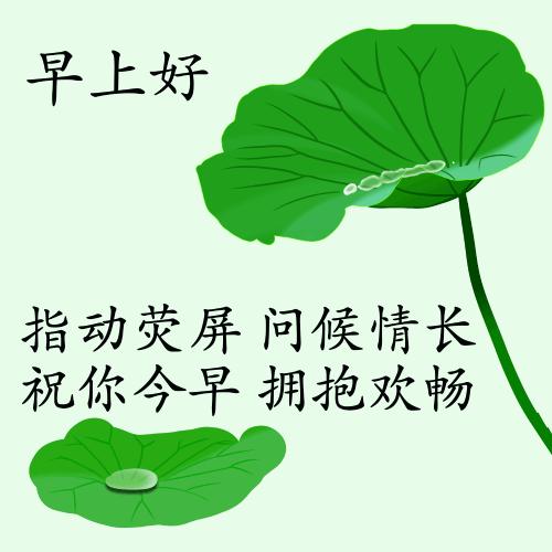 最新疫情動(dòng)態(tài)下的自然探索之旅，追尋內(nèi)心的平和與寧?kù)o
