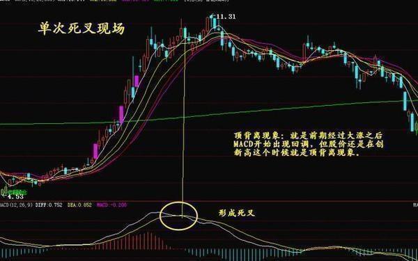 科技前沿與股票新紀(jì)元，最新高科技產(chǎn)品體驗(yàn)介紹與股票解析