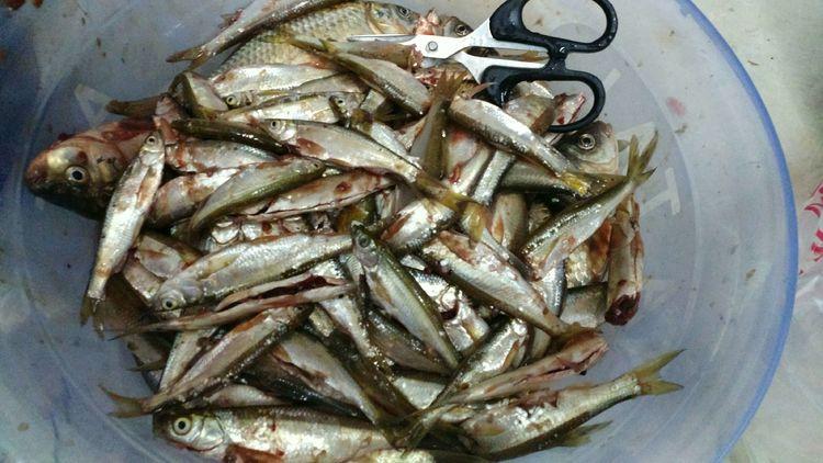 昆明最新野釣地點(diǎn)探索，重拾生活激情與自信的自然之旅