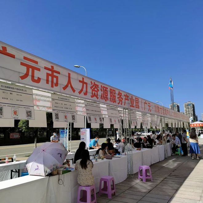 廣元最新招聘資訊詳解，觀點闡述與解析