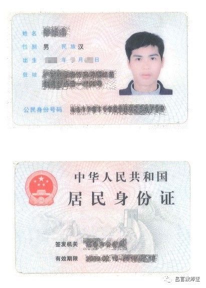 最新證照，友情與陪伴的溫馨故事之旅