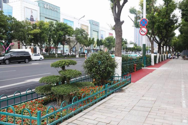 濰坊市奎文區(qū)改造工程，自然美景的探索之旅