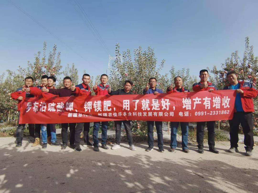 新疆國投羅鉀最新動態(tài)，全面指南與最新發(fā)展概述