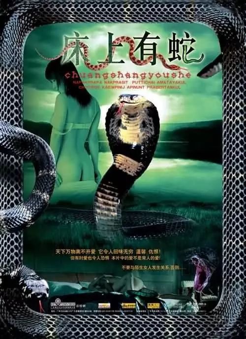 最新蛇片，蛻變的旅程，召喚自信與成就感的冒險(xiǎn)之旅
