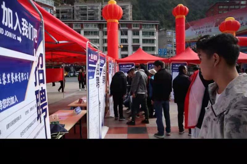 青白江招聘信息探索，小巷中的職業(yè)機(jī)遇