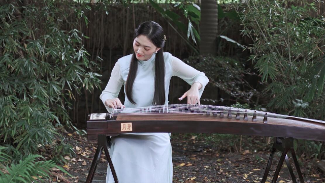 抖音最新琵琶演奏，古典與現(xiàn)代的完美融合之美