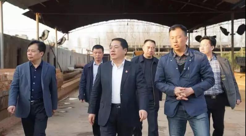 商丘王仲田最新動態(tài)，探索自然美景的旅行，尋求內心平和之旅
