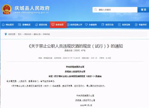 酒駕處罰2024最新標準詳解，步驟指南與更新概覽