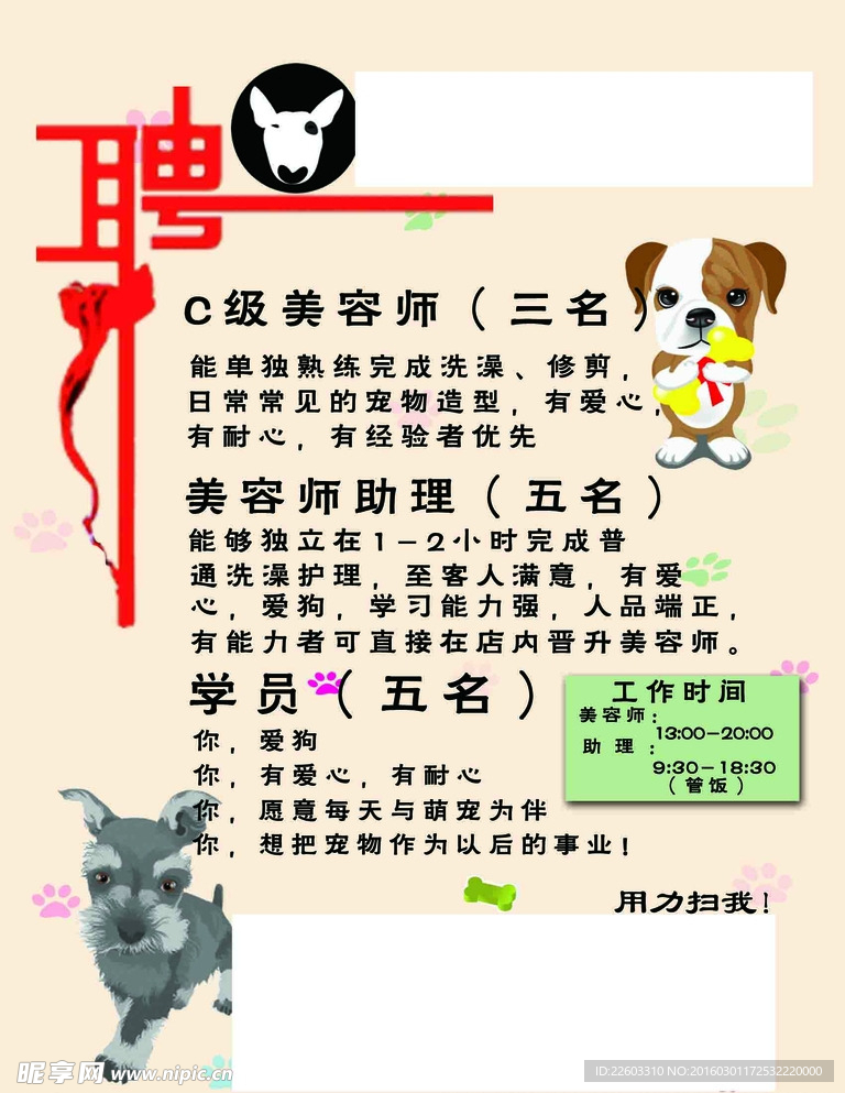寵物店招聘最新動(dòng)態(tài)，共探自然之美，尋求內(nèi)心寧?kù)o