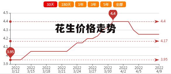 遼寧花生最新價(jià)格揭秘，一段溫馨的友情故事中的緣分相逢