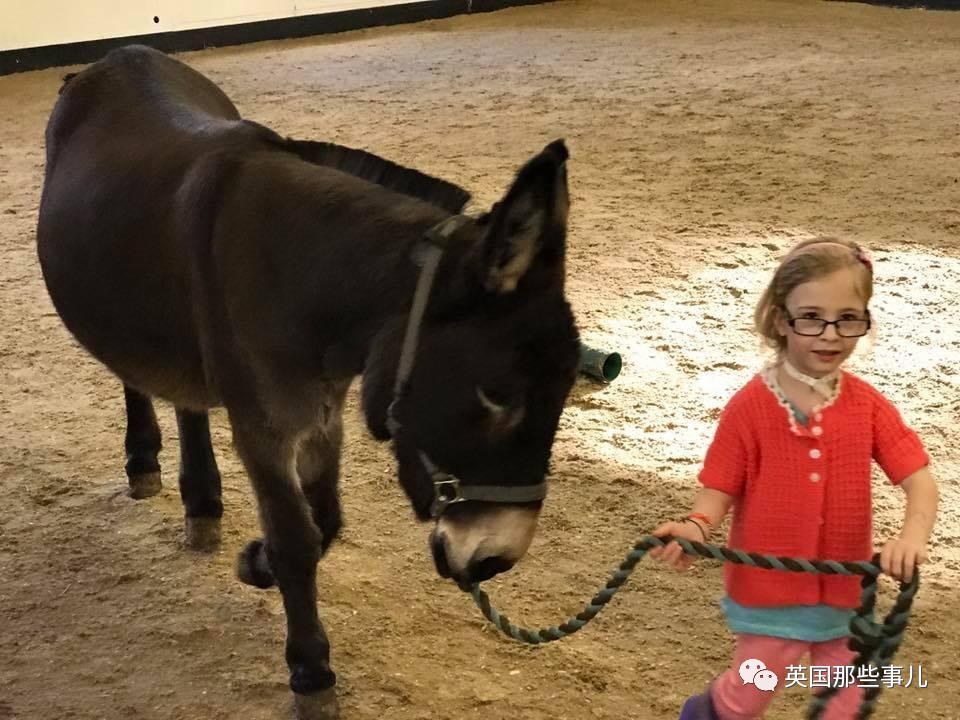 二驢子最新事件揭秘，事件全貌大揭秘！