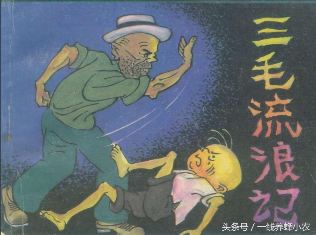上海三毛最新動(dòng)態(tài)，自然美景探索之旅啟幕