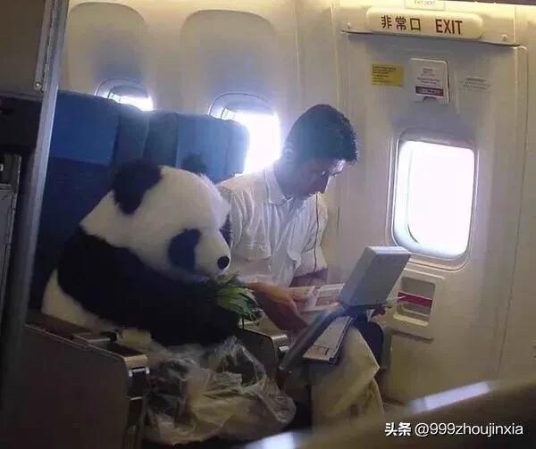 追逐變化之翼，學(xué)習(xí)鑄就自信與成就——虛幻最新探討