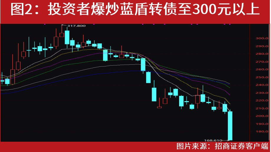 最新轉(zhuǎn)股價(jià)，時(shí)代變遷與股市脈動同步前行