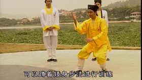太極最新音樂(lè)，傳統(tǒng)與現(xiàn)代的完美融合藝術(shù)展現(xiàn)