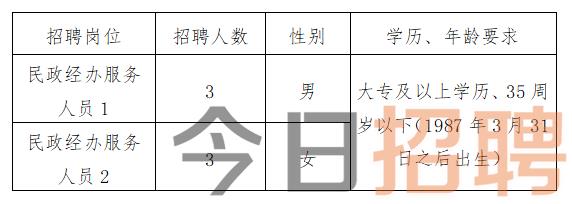 慶陽最新招聘揭秘，小巷中的特色小店，探索未知寶藏的職場之旅