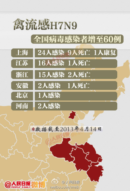 山東禽流感最新動態(tài)，友情與陪伴的溫馨故事