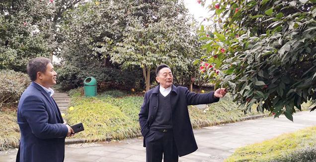 最新花木求購，開啟一場尋綠之旅的溫馨旅程