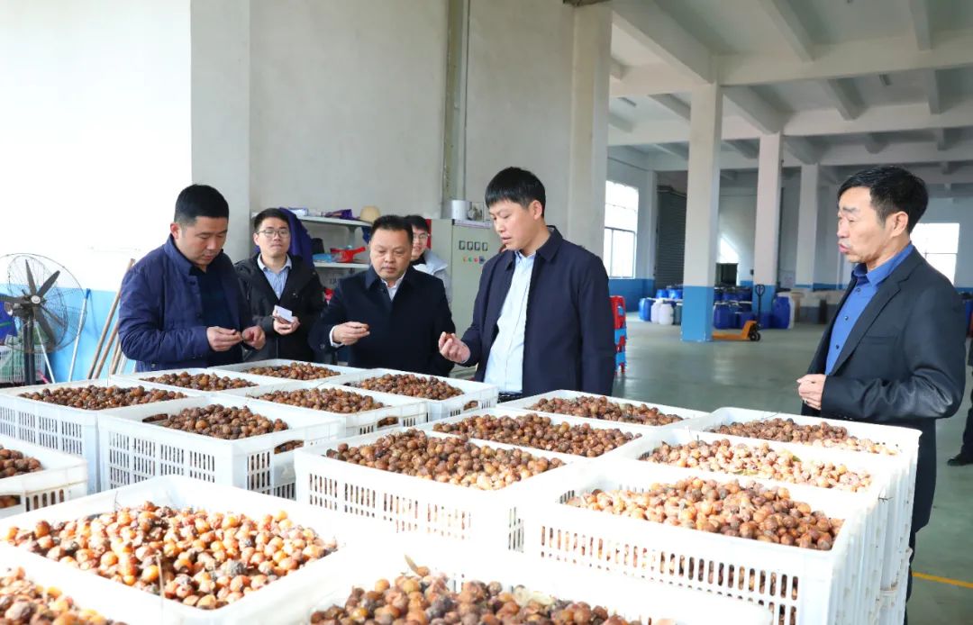 建寧最新新聞，城市溫馨日常與友情力量的展現